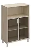 Офисный шкаф для документов, двери стеклянные в алюминиевой раме + ниша