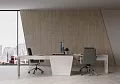 кабинет Асти Вяз